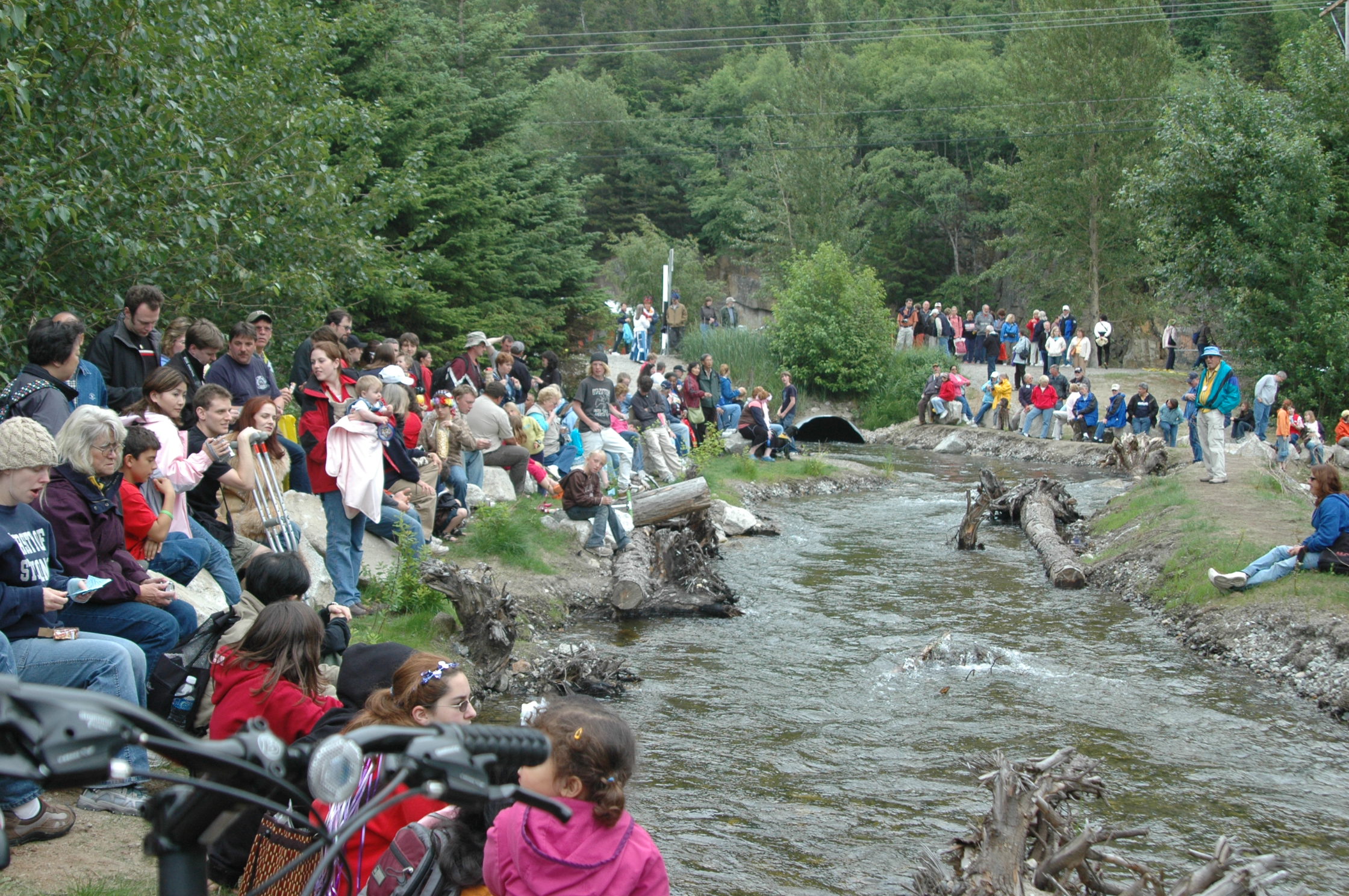 Pullen Pond Ducky Derby