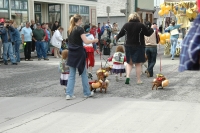 Wiener Dogs