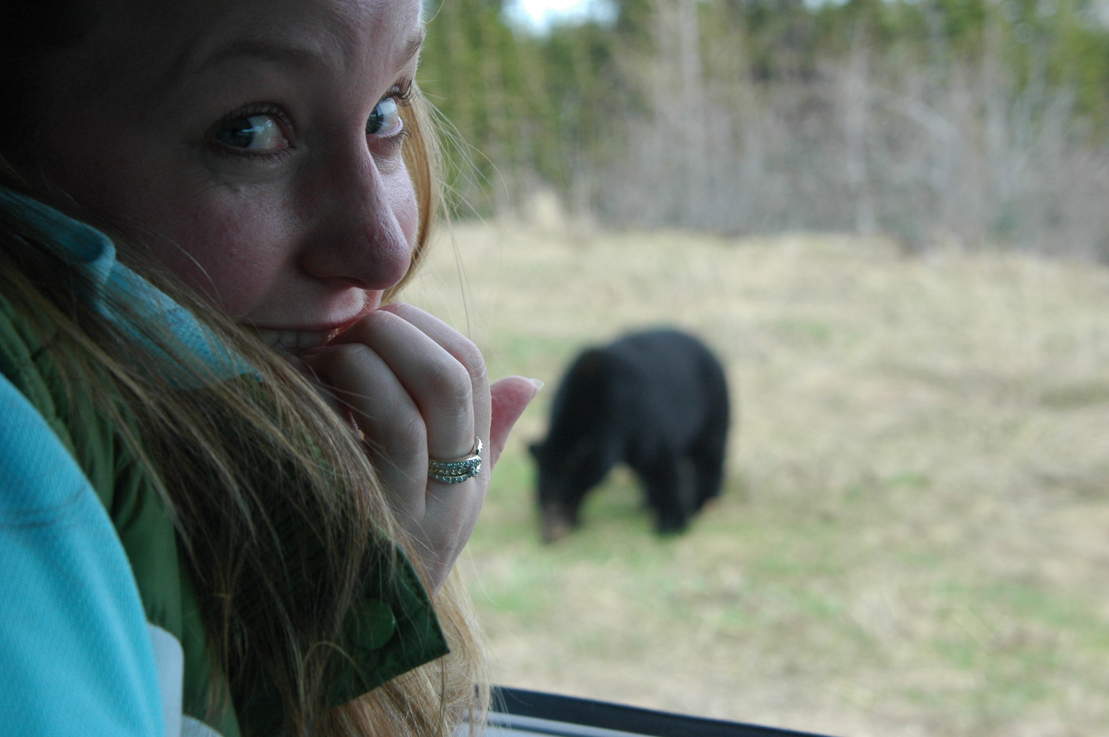 Baby Bear STAY IN CAR