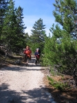 From Bare Loon Lake To Bennett Lake on Chilkoot Trail