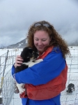 Husky Puppies Skagway Alaska