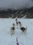 Pulling a dog sled in Skagway Alaska