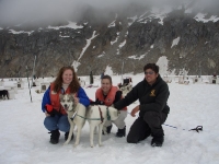 Dog sled in Skagway  Alaska