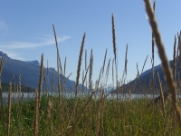 Dyea Alaska Flats