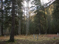 Dyea Alaska Cemetery