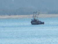 Little Commercial Fishing in Skagway Alaska