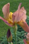 cimg0053
