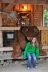 Bears in Skagway Alaska