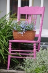 Pink Chair