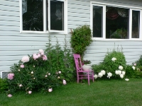 Pink Chair Mile Zero Bed & Breakfast