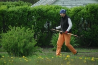 Gardening in Skagway Alaska