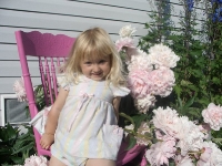 Pink Flowers