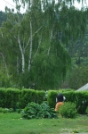Garden in Skagway Alaska