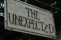 Expect the unexpected in Skagway Alaska