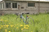 Biking Skagway Alaska