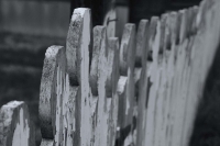 Fence in Skagway Alaska