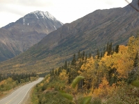 Fall colors in Skagway Alaska