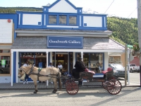 Horse and Buggy Skagway
