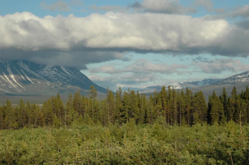 Views from Skagway Summit Tour