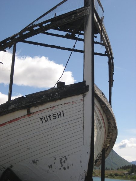 Tushi