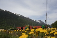 Train in Alaska
