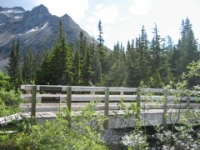 Upper Lake Skagway Trails