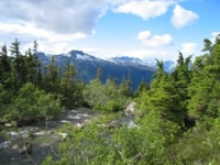 Upper Lake Skagway Hike