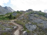 Trail to Upper lake